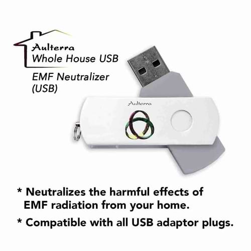 Aulterra-USB-House-image